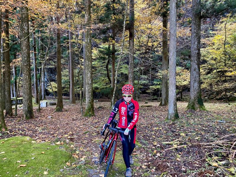 f:id:u_rotas:20191123071003j:plain f:id:u_rotas:20191123071003j:plain