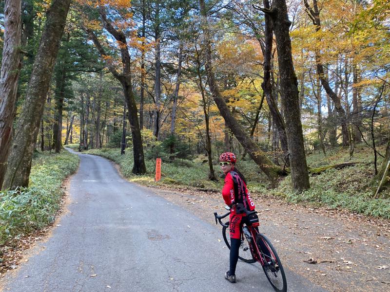 f:id:u_rotas:20191123071045j:plain f:id:u_rotas:20191123071045j:plain