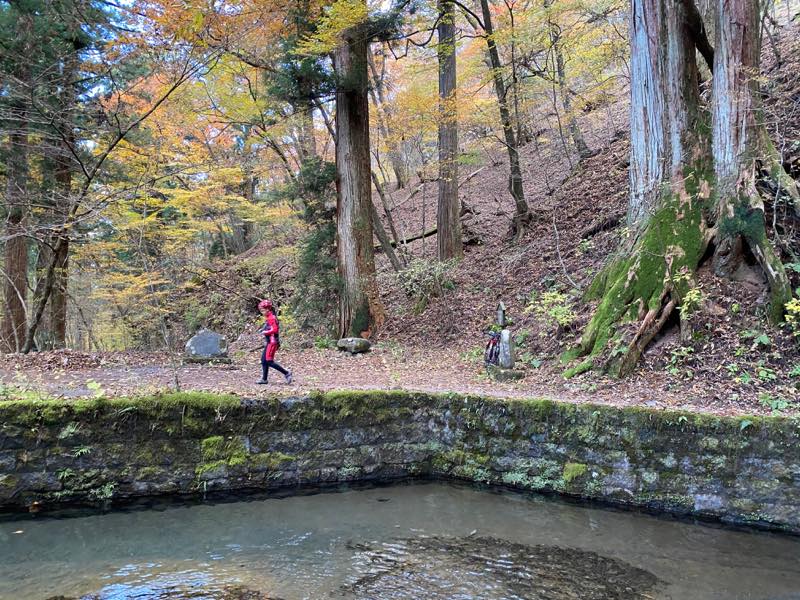 f:id:u_rotas:20191123081539j:plain f:id:u_rotas:20191123081539j:plain