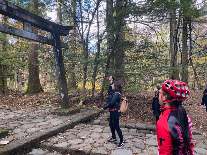 f:id:u_rotas:20191123090046j:plain f:id:u_rotas:20191123090046j:plain