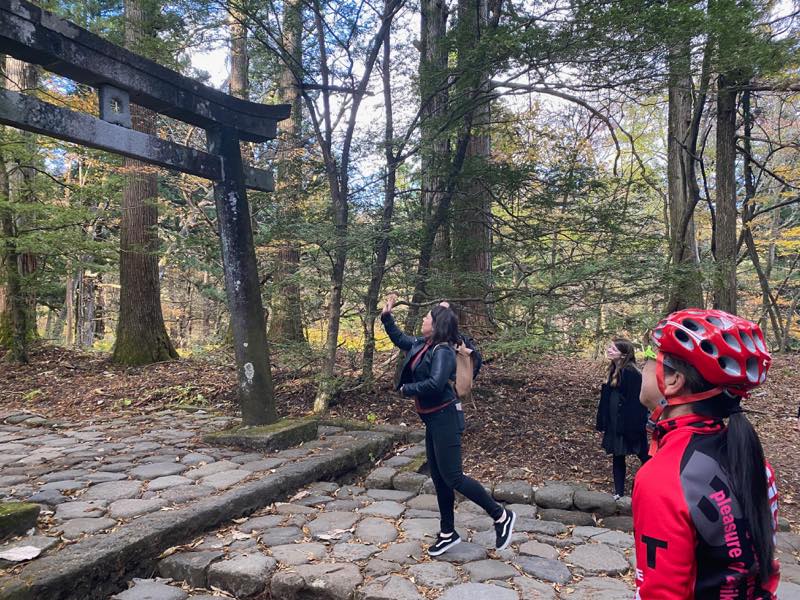 f:id:u_rotas:20191123090049j:plain f:id:u_rotas:20191123090049j:plain