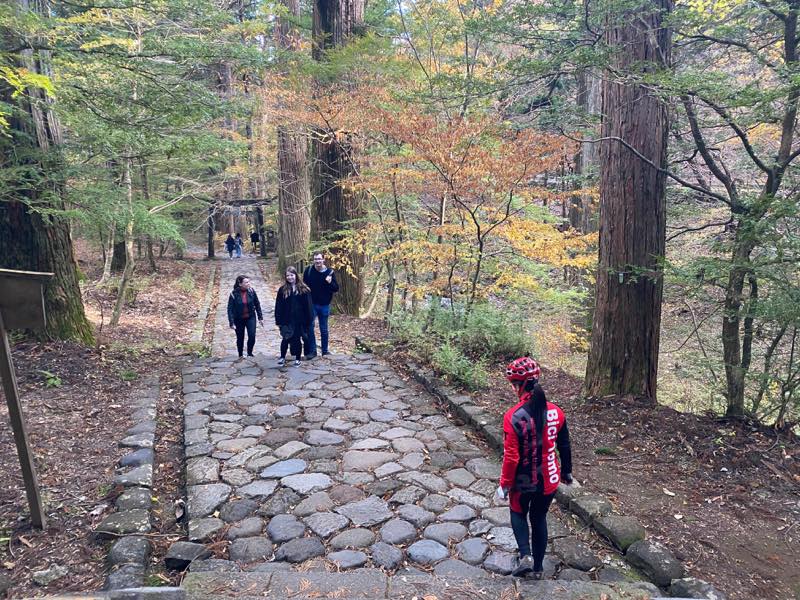 f:id:u_rotas:20191123090301j:plain f:id:u_rotas:20191123090301j:plain