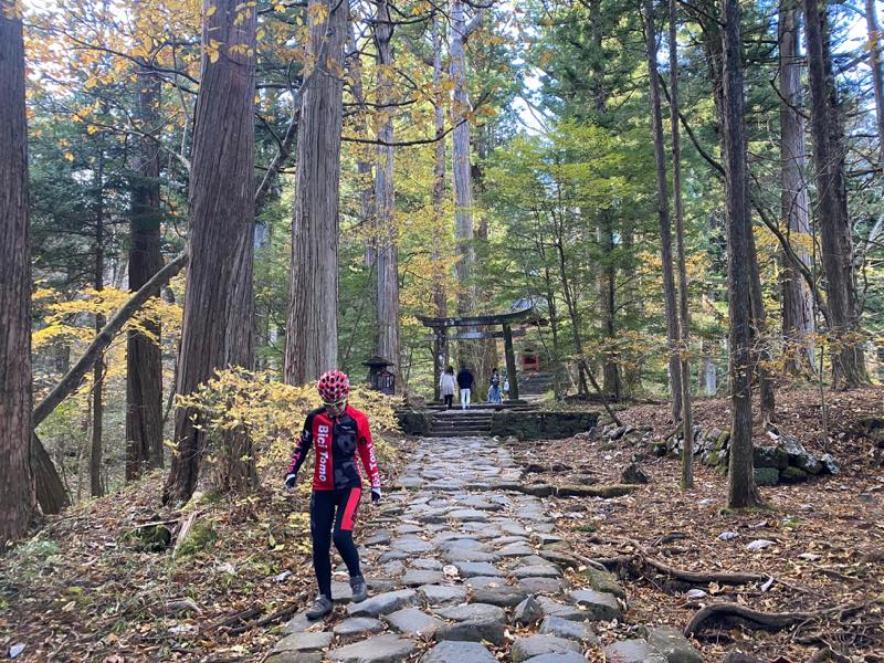 f:id:u_rotas:20191123090306j:plain f:id:u_rotas:20191123090306j:plain