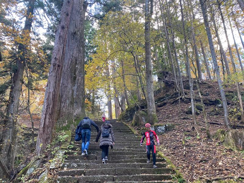 f:id:u_rotas:20191123090310j:plain f:id:u_rotas:20191123090310j:plain