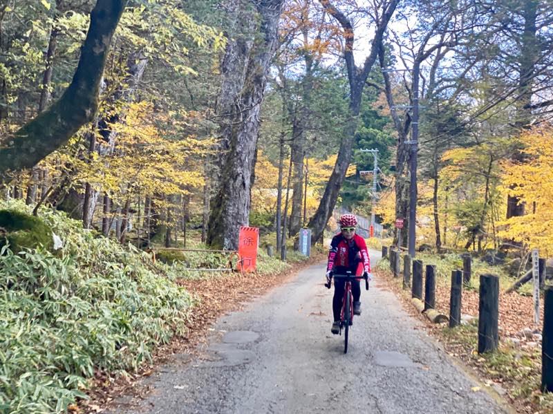 f:id:u_rotas:20191123090416j:plain f:id:u_rotas:20191123090416j:plain