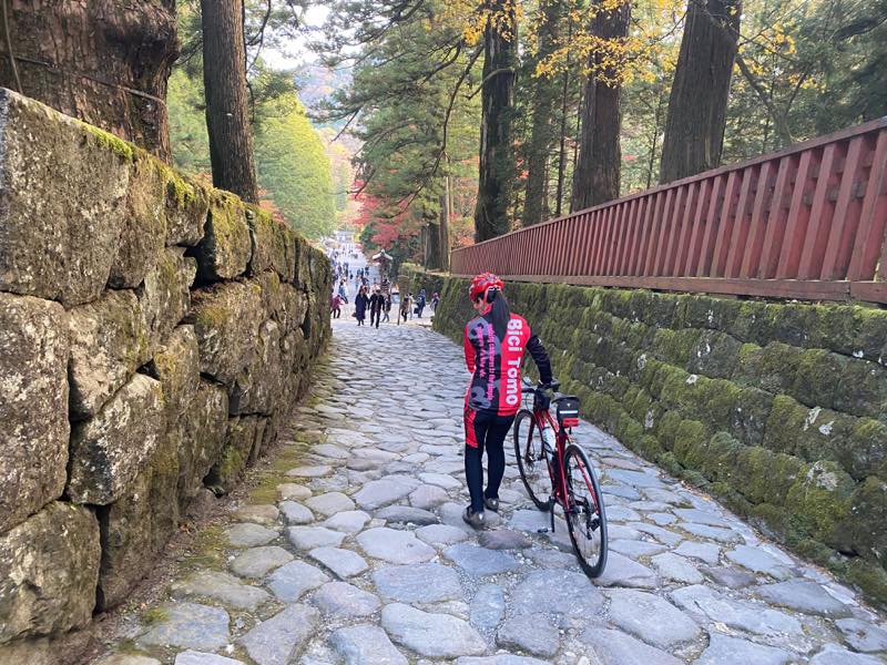 f:id:u_rotas:20191123090909j:plain f:id:u_rotas:20191123090909j:plain