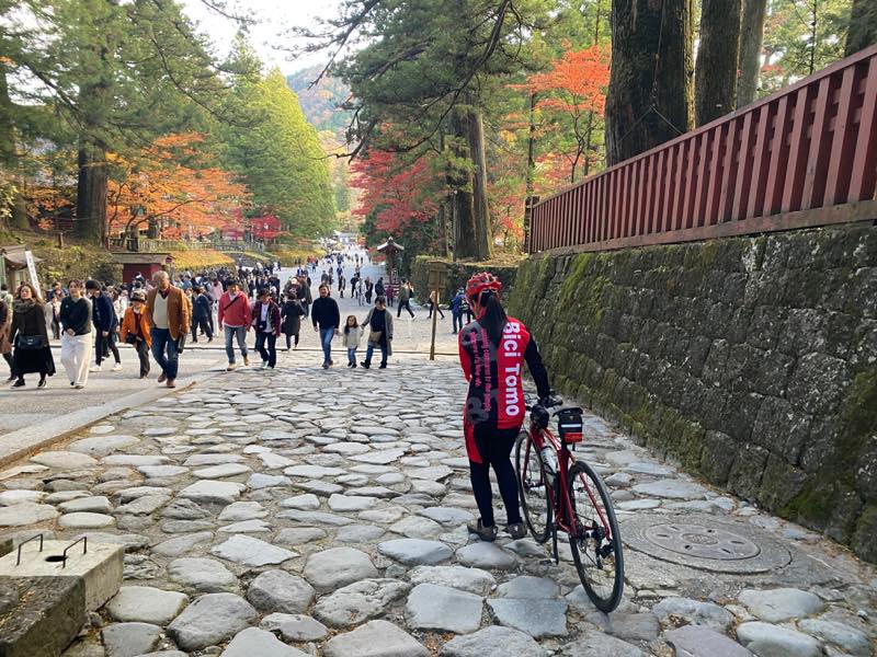 f:id:u_rotas:20191123090924j:plain f:id:u_rotas:20191123090924j:plain