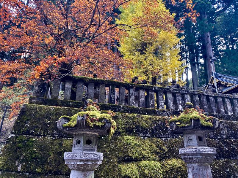 f:id:u_rotas:20191123091218j:plain f:id:u_rotas:20191123091218j:plain