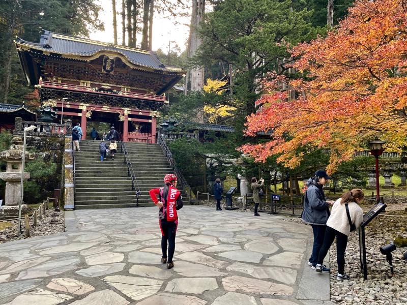 f:id:u_rotas:20191123091508j:plain f:id:u_rotas:20191123091508j:plain