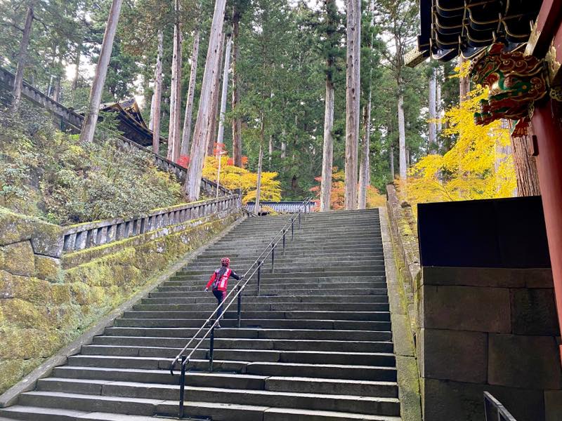 f:id:u_rotas:20191123091715j:plain f:id:u_rotas:20191123091715j:plain