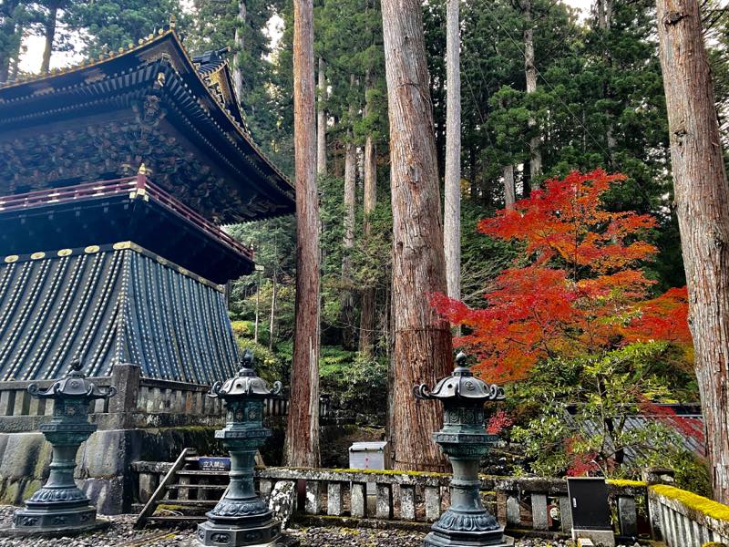 f:id:u_rotas:20191123094214j:plain f:id:u_rotas:20191123094214j:plain