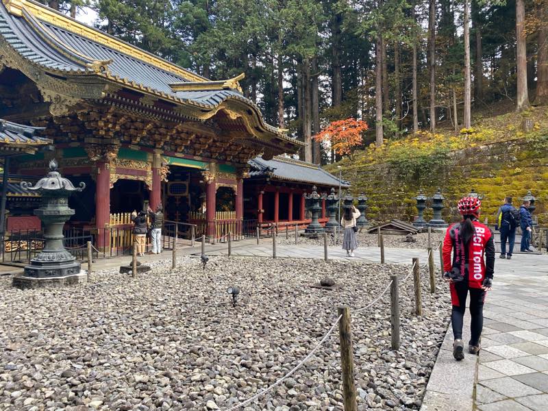 f:id:u_rotas:20191123094623j:plain f:id:u_rotas:20191123094623j:plain