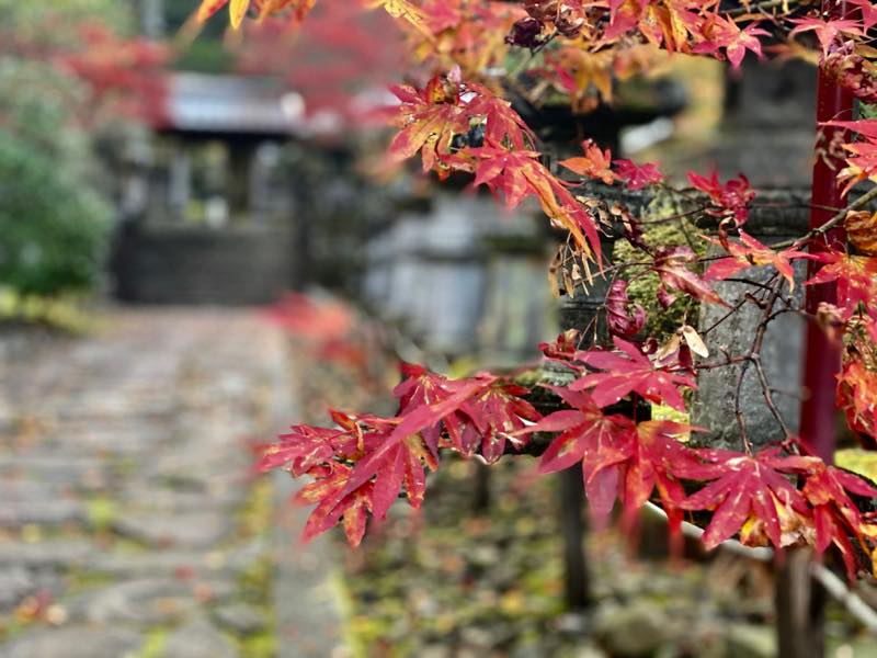 f:id:u_rotas:20191123094849j:plain f:id:u_rotas:20191123094849j:plain