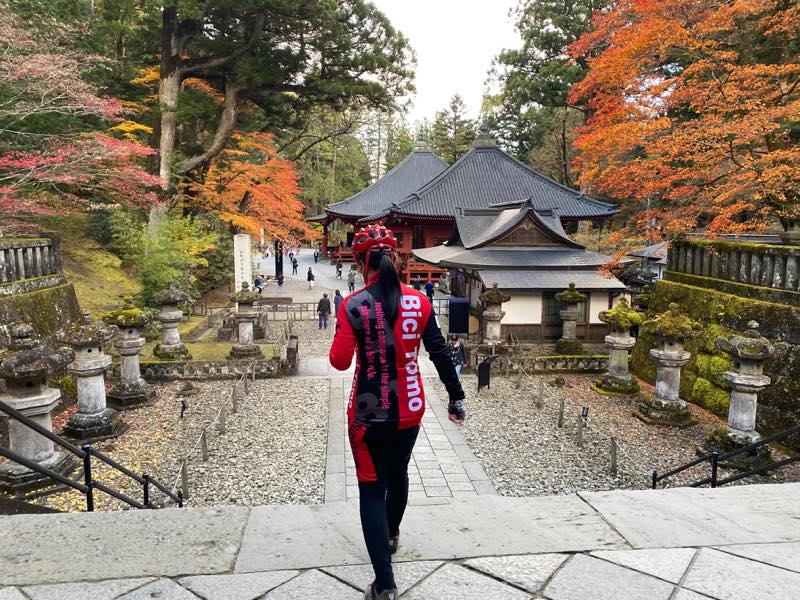 f:id:u_rotas:20191123095243j:plain f:id:u_rotas:20191123095243j:plain