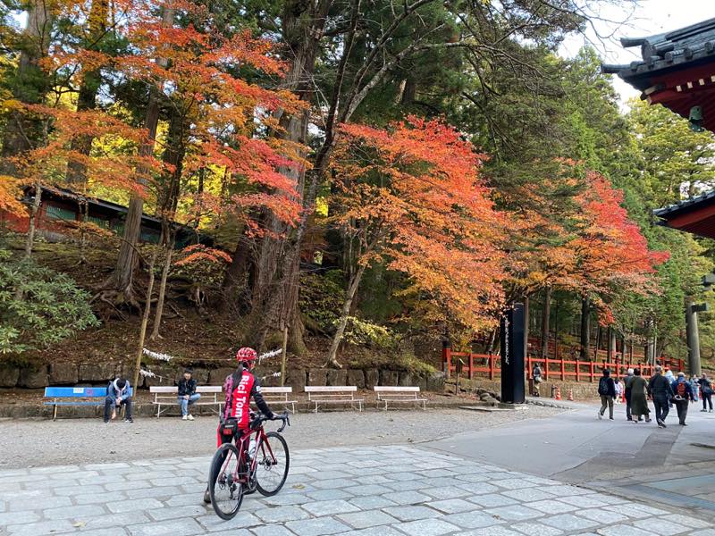 f:id:u_rotas:20191123095246j:plain f:id:u_rotas:20191123095246j:plain