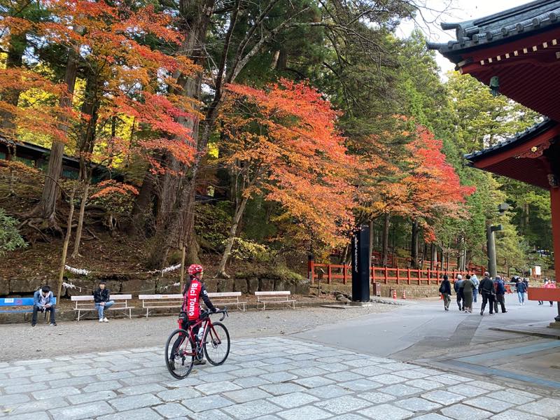 f:id:u_rotas:20191123095249j:plain f:id:u_rotas:20191123095249j:plain