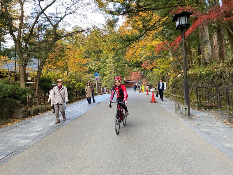 f:id:u_rotas:20191123095256j:plain f:id:u_rotas:20191123095256j:plain