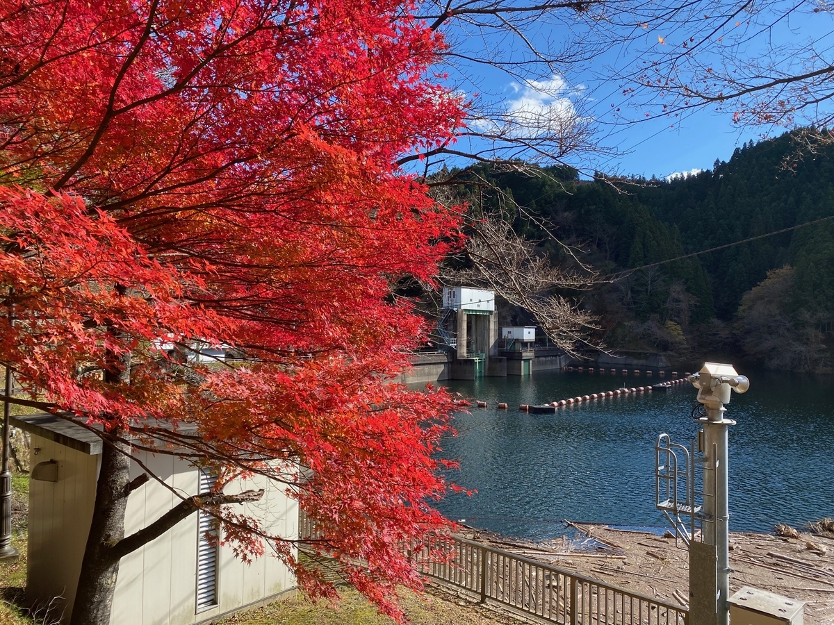 f:id:u_rotas:20191203111342j:plain