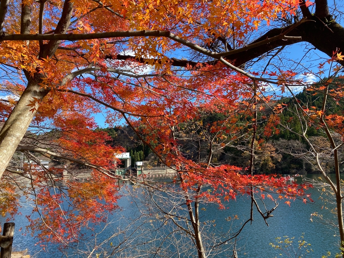 f:id:u_rotas:20191203111620j:plain