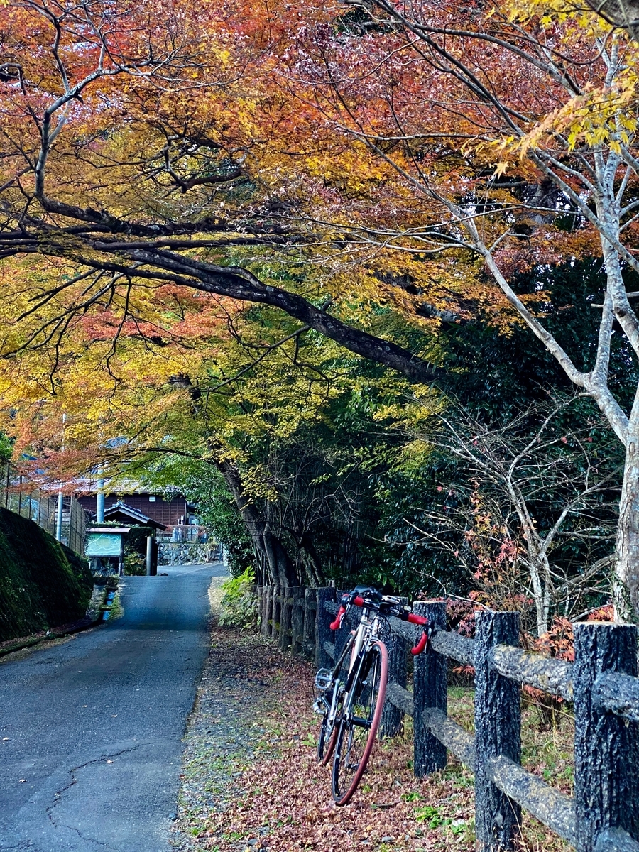 f:id:u_rotas:20191204153541j:plain