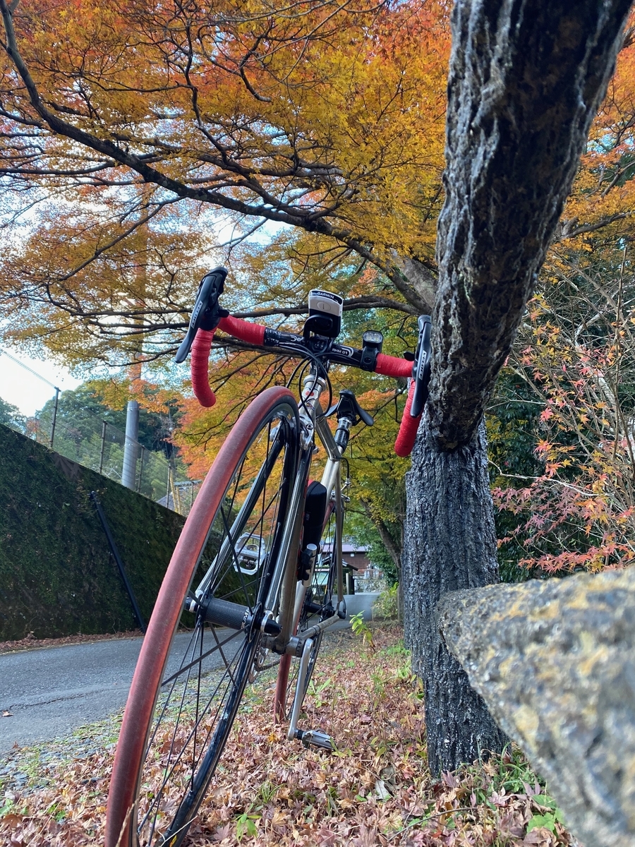 f:id:u_rotas:20191204153628j:plain