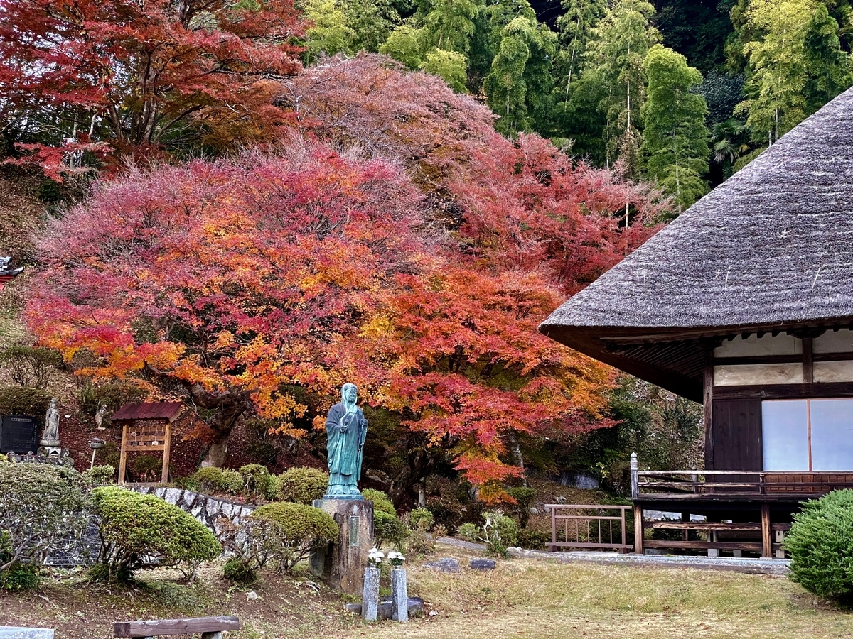 f:id:u_rotas:20191204153957j:plain