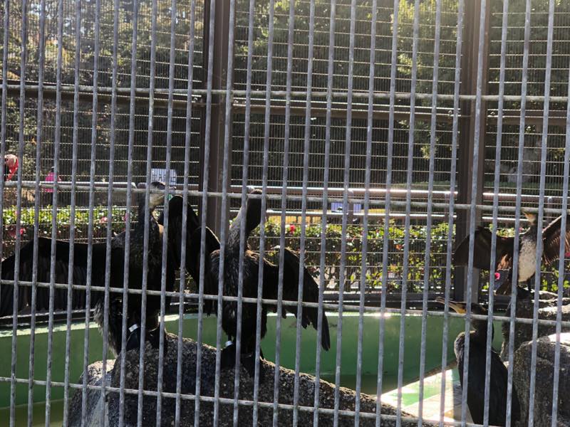 f:id:u_rotas:20191210163826j:plain