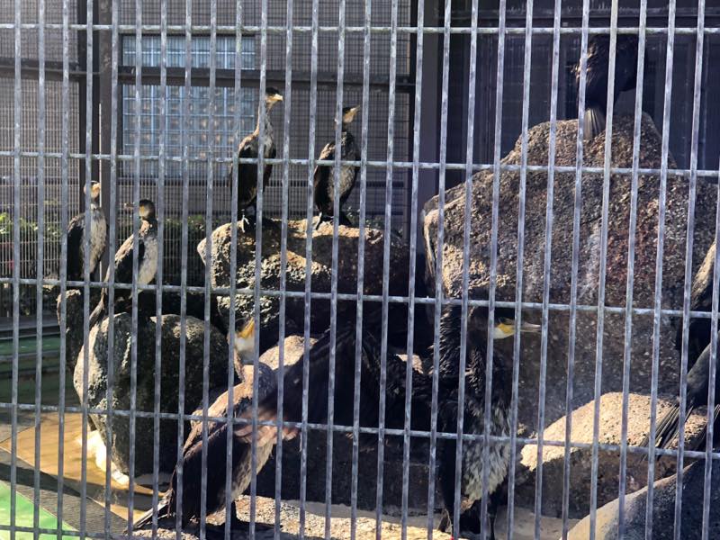 f:id:u_rotas:20191210163829j:plain