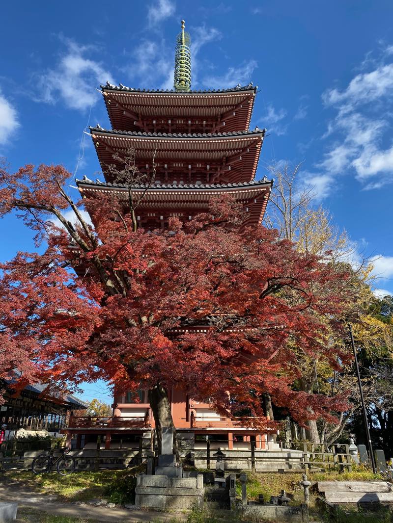 f:id:u_rotas:20191210163951j:plain