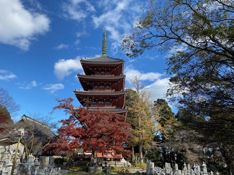 f:id:u_rotas:20191210163956j:plain