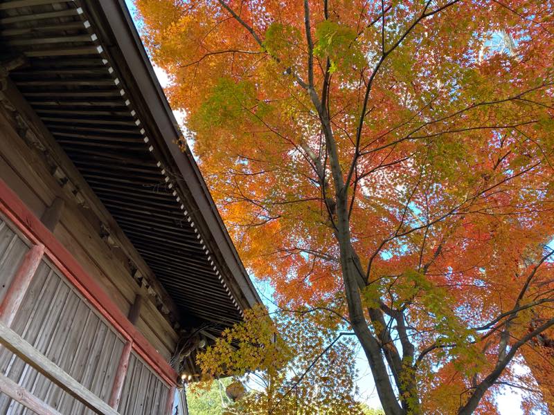 f:id:u_rotas:20191210164143j:plain