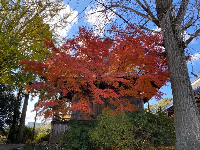 f:id:u_rotas:20191210164148j:plain