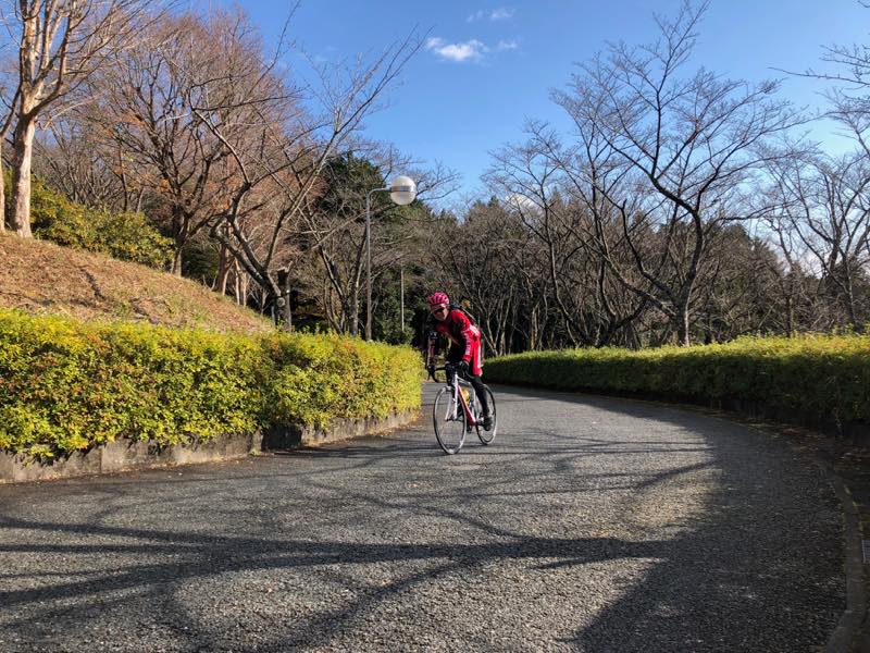 f:id:u_rotas:20191210164242j:plain