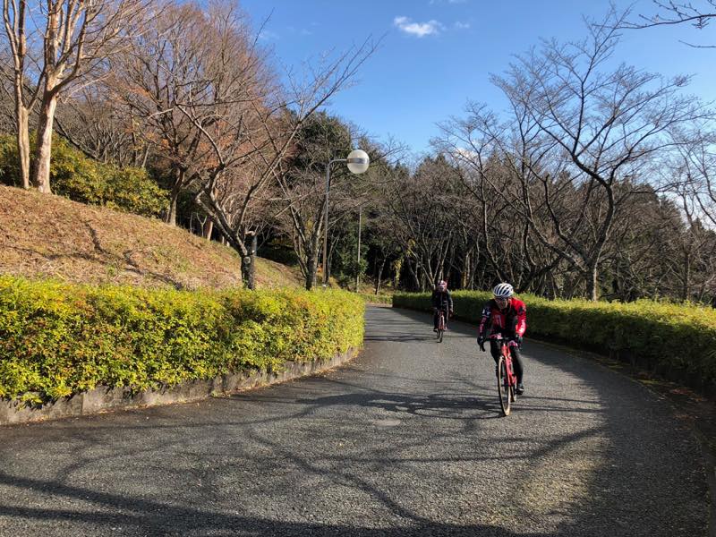 f:id:u_rotas:20191210164245j:plain