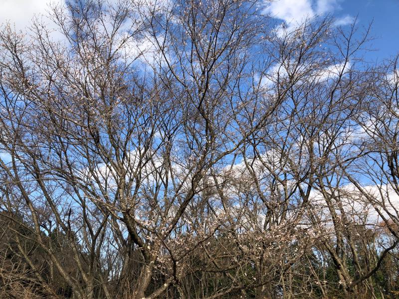 f:id:u_rotas:20191210164611j:plain