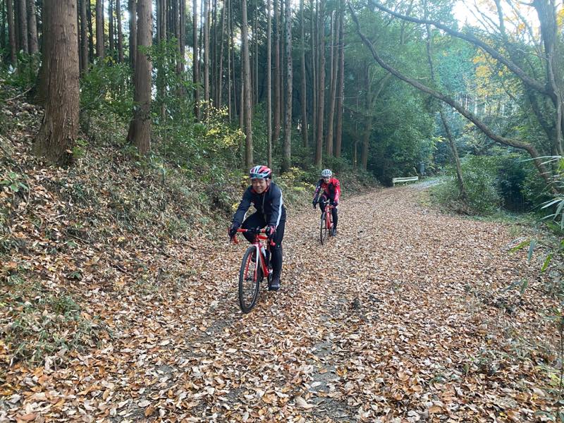 f:id:u_rotas:20191210165914j:plain