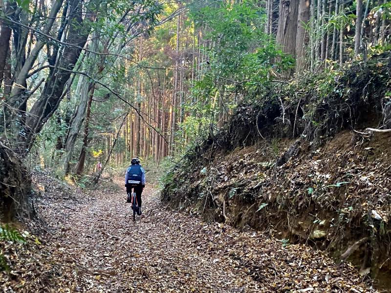 f:id:u_rotas:20191210165919j:plain