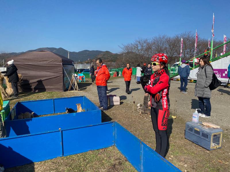 f:id:u_rotas:20191217105541j:plain