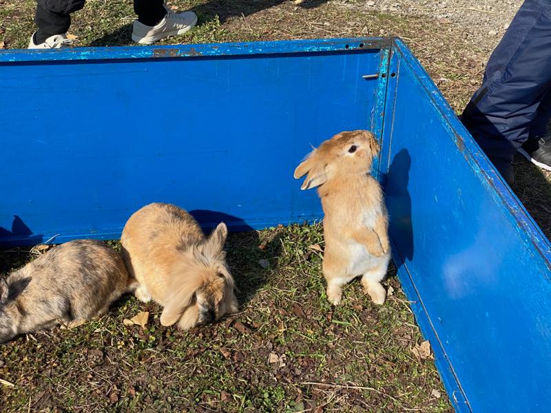 f:id:u_rotas:20191217105544j:plain