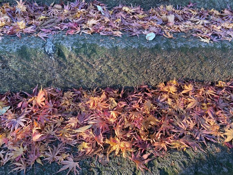 f:id:u_rotas:20191217111021j:plain