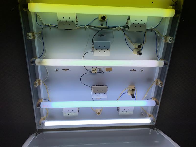 f:id:u_rotas:20200106184336j:plain f:id:u_rotas:20200106184336j:plain