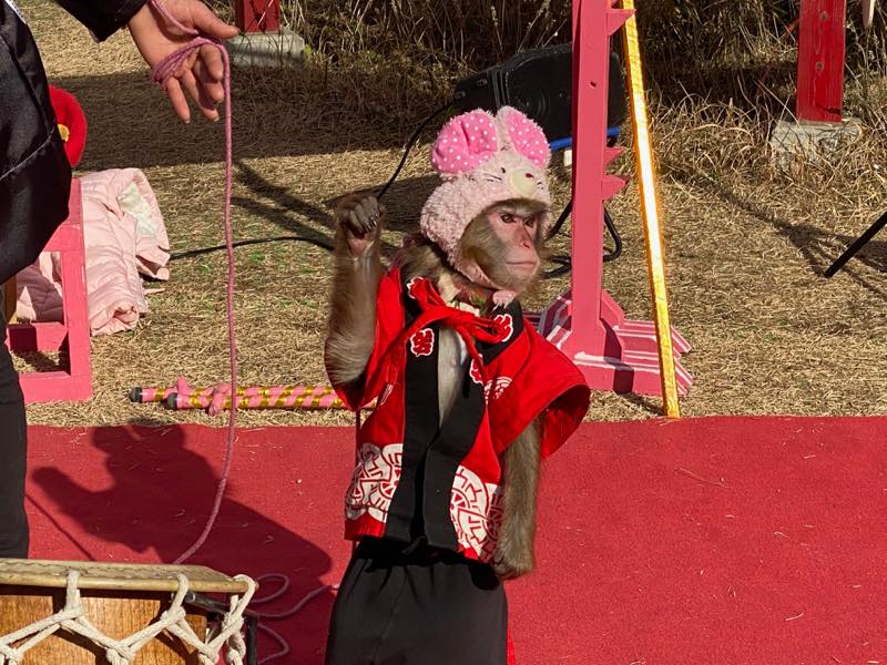 f:id:u_rotas:20200106184406j:plain f:id:u_rotas:20200106184406j:plain