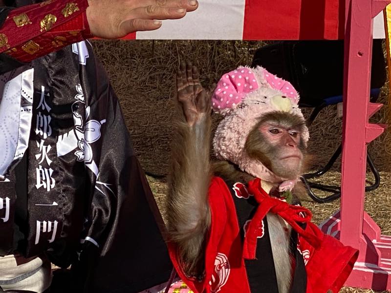 f:id:u_rotas:20200106184410j:plain f:id:u_rotas:20200106184410j:plain