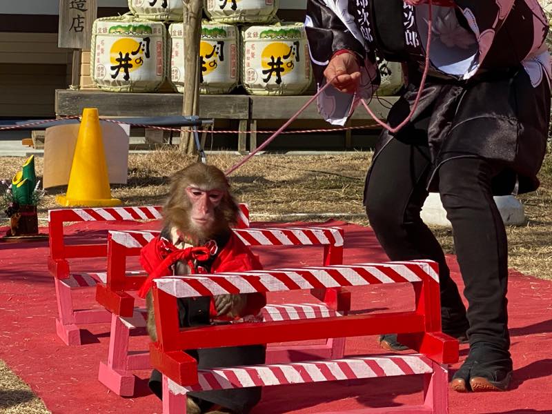 f:id:u_rotas:20200106184420j:plain f:id:u_rotas:20200106184420j:plain