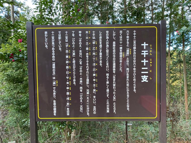 f:id:u_rotas:20200106184506j:plain f:id:u_rotas:20200106184506j:plain