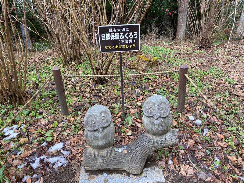 f:id:u_rotas:20200106184524j:plain f:id:u_rotas:20200106184524j:plain