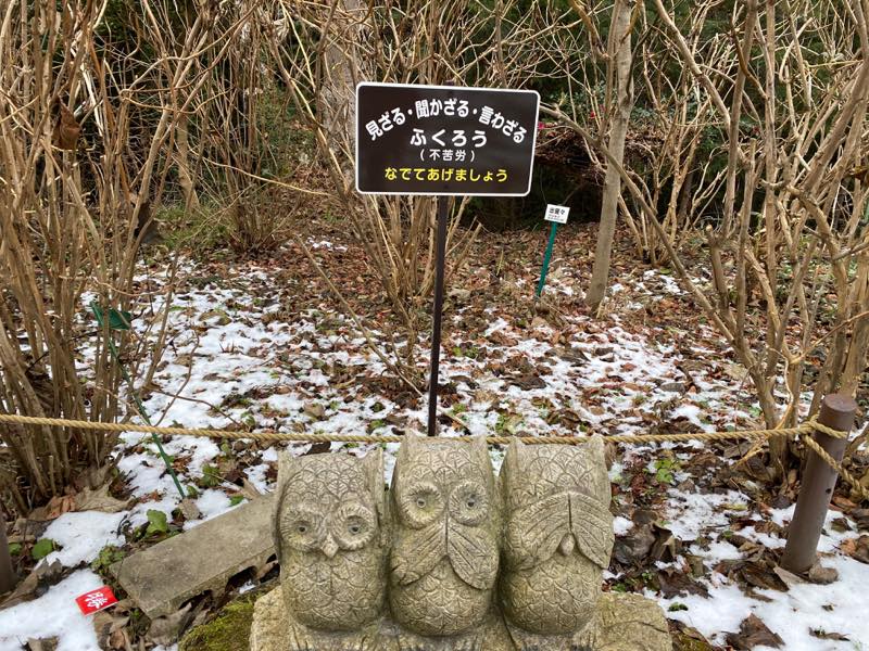 f:id:u_rotas:20200106184537j:plain f:id:u_rotas:20200106184537j:plain