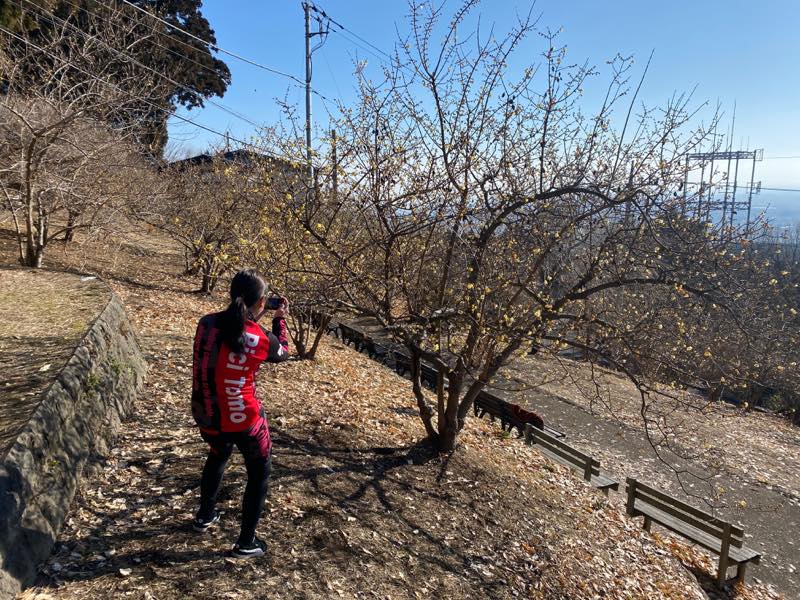 f:id:u_rotas:20200121060753j:plain