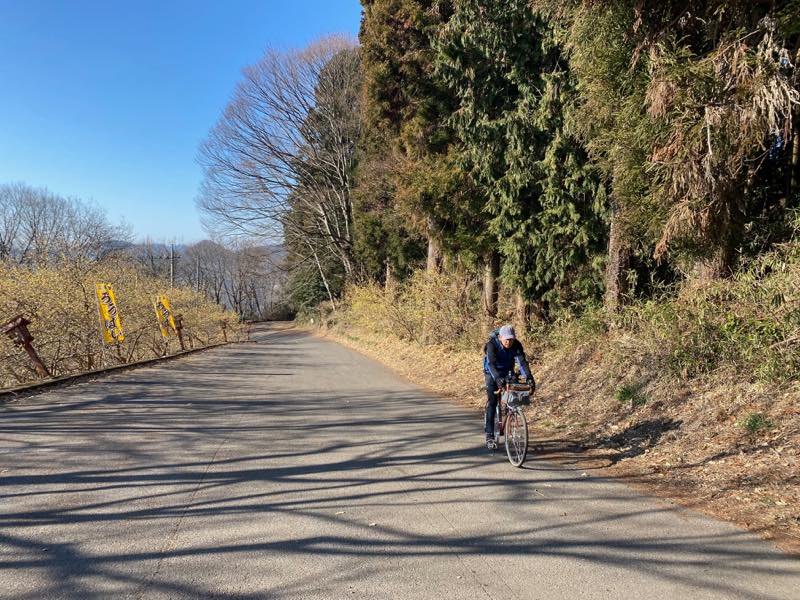 f:id:u_rotas:20200121060758j:plain