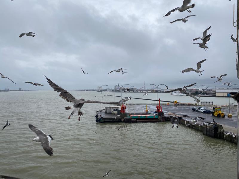 f:id:u_rotas:20200727082049j:plain f:id:u_rotas:20200727082049j:plain